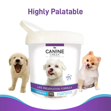 Canine Creek Enjoy Pet Hub and Kennels