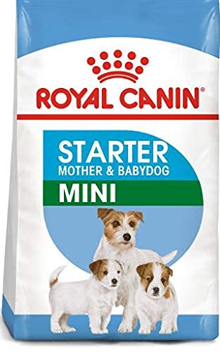 Royal Canin Mini Starter for Small Breed Dogs and Puppies Dry Food 1kg