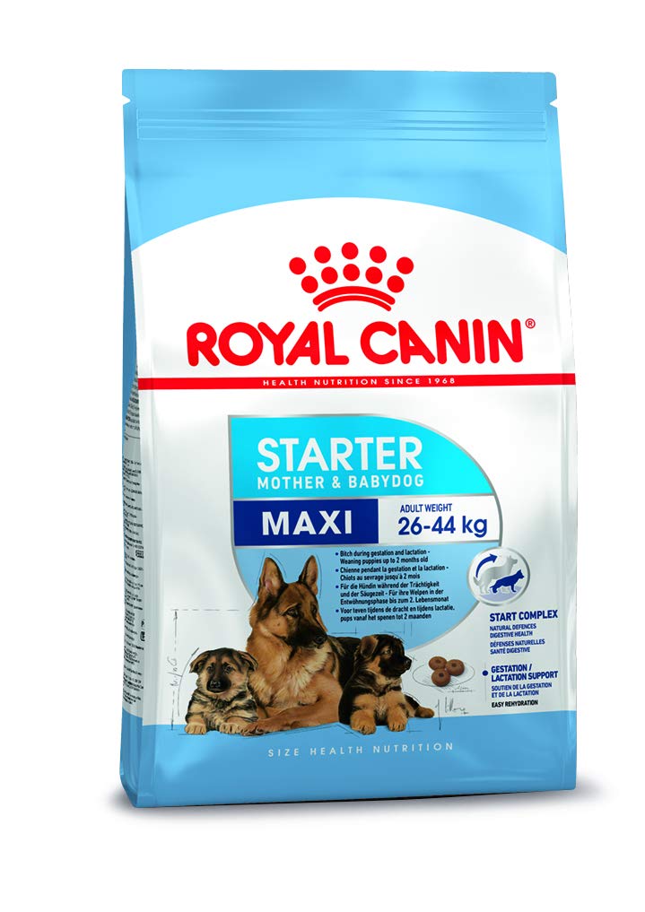 Royal Canin Maxi  Starter Puppy Food 1kg