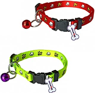 IMP Puppy Collar