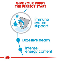Royal Canin Mini Puppy Dry Food 4kg