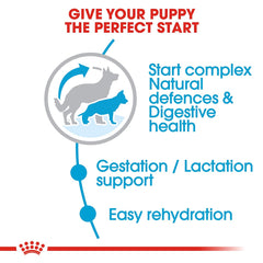 Royal Canin Maxi  Starter Puppy Food 1kg
