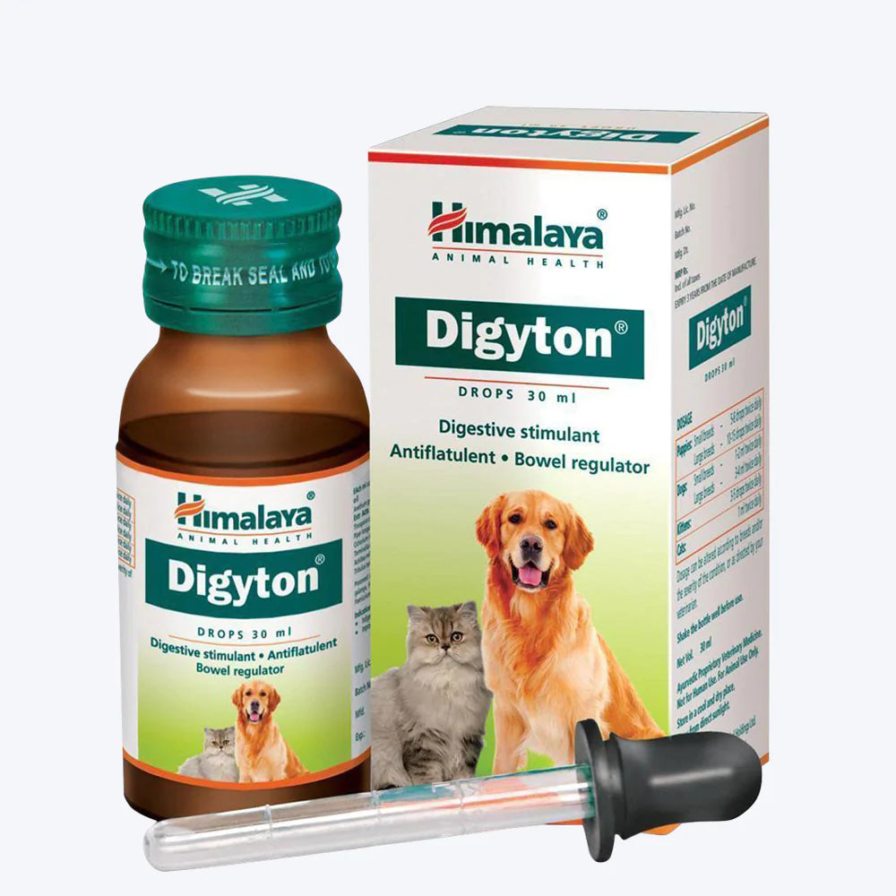 Digyton Syrup 30ML for Dogs Cat Suffering from Indigestion Problems