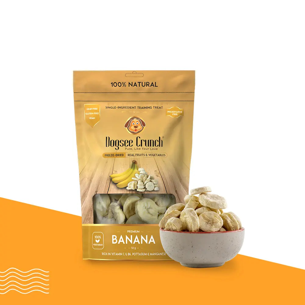 Dogsee Crunch Freeze Dried Banana Dog Treats