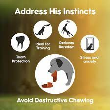 Purepet Chew Bone For Dogs 5 Inches