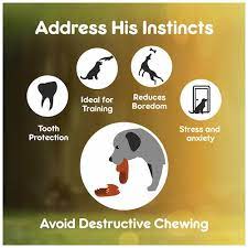 Purepet Chew Bone For Dogs 6 Inches