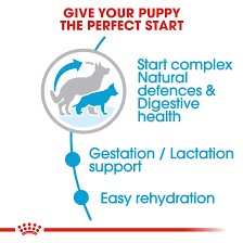 Royal Canin Maxi Starter Dry Food for Large Breed Dog and Puppies 15kg