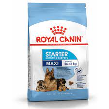 Royal Canin Maxi Starter Dry Food for Large Breed Dog and Puppies 15kg