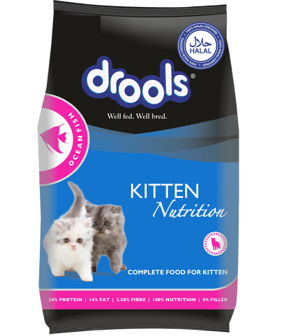 Drools Kitten(1-12 months) Dry Cat Food, Ocean Fish - 3 kg