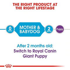 Royal Canin Giant Adult Dog Dry Food