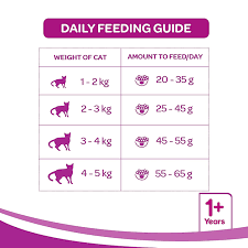 Whiskas Adult (+1 year) Tuna Flavour – Dry Cat Food 480gm