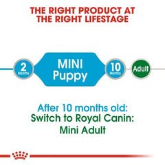 Royal Canin Mini Puppy Dog Wet Food
