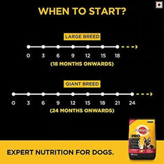 Pedigree PRO Active Expert Nutrition for Adult Large Breed Dog Dry Food