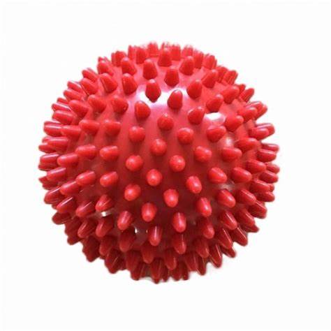 TRIXIE Hedgehog Ball, Sturdy Dog Toy without Squeaker, Vinyl L