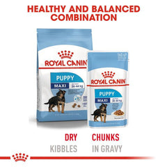 Royal Canin Maxi Puppy Dog Wet Food